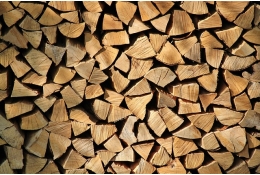 Вязанка дров: ольха, берёза